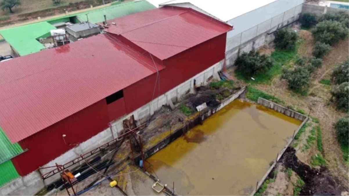 Hatay'daki fabrikada depolar patladı, 50 ton zeytinyağı araziye aktı